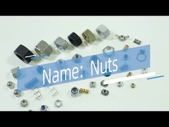 Havşa Başlı Çinko Alaşımlı Mobilya Somunu Çin Somunları